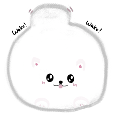 Cotton Pomeranian