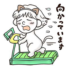 ネコになりたい ★筋トレ編★