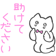 ピンク推しねこ(敬語)