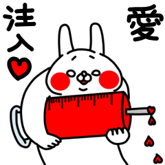 全力うさぎ愛を伝える編