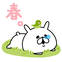 ゆるうさぎの春。