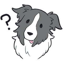 折れ耳ボーダーコリー