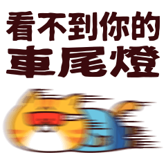 Little Rider & Orange Cat