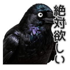 毎日使える♪買い物・推しとカラス