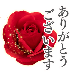 赤いバラと挨拶〜大人の品格〜