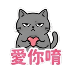 World-weary Little Gray Cat Couple