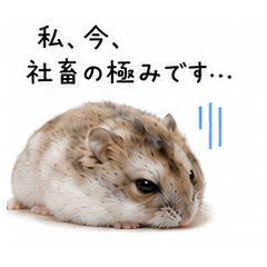 ちょこんとハムの社畜ライフ