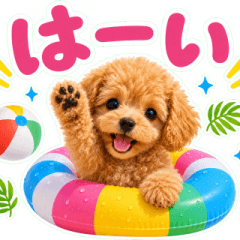 飛び出す♡夏のトイプー