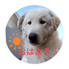 アテナの日常No.1