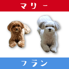 マリフラその１ ver2