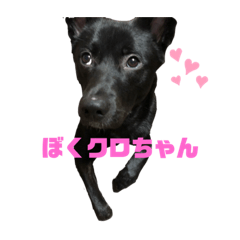 くろちゃんとりんちゃん