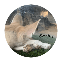 一言つぶやき。