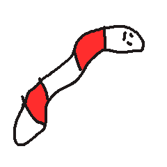 チンアナゴ紅組VS白組