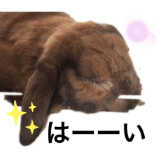 みみくんのスタンプ 2