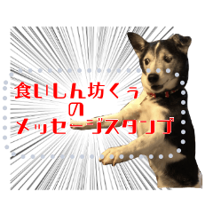 食いしん坊くぅ★メッセージスタンプ