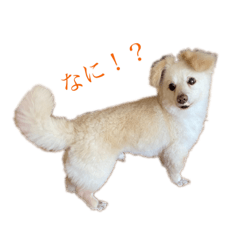 まる　ときどき　だい　1