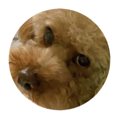 melody_20200521192636