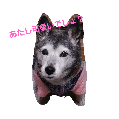 ハナ姉さんとすばちゃん