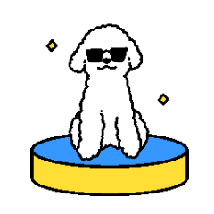 白いプードルくん