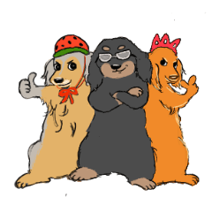 犬ときどきウサギ