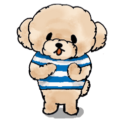 トイプーのリリくん