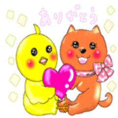 美濃柴犬ちゃんとヒヨコちゃん