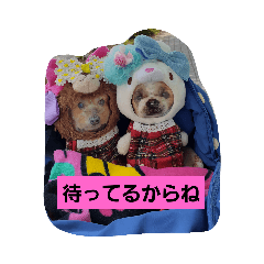 ゆうたん&あいちゃん