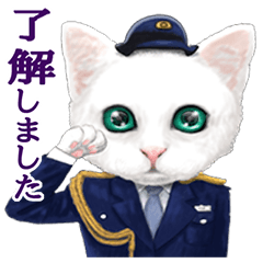 白ねこちゃん日記