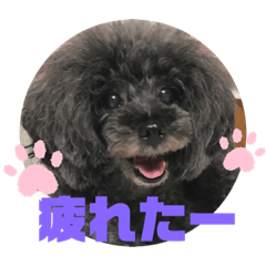 ふわふわ  オスマシ♡お姫様