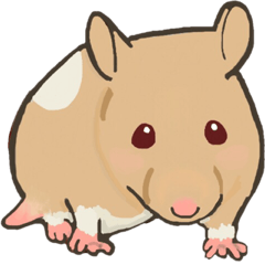 ツンデレハムスター ベルさんの日常６