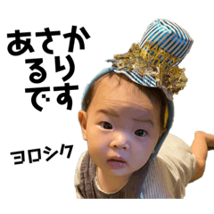 今日のるりちゃん