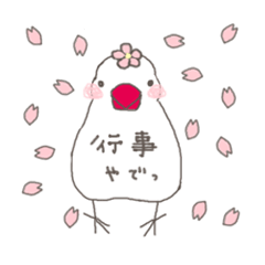 白文鳥 行事（オールシーズン）