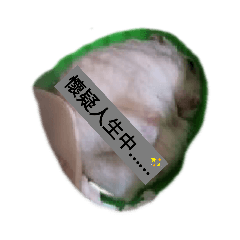 samantha_20210115224331