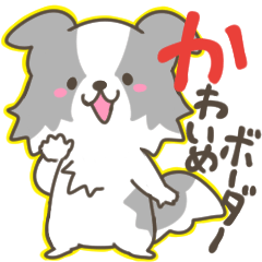 かわいいポップな感じのボーダーコリー