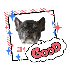 ニライちゃんだよん♡