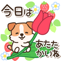 陽気なジャックわんこ4(春)