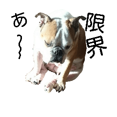 ぶるぶるナッツ なかまたち