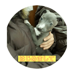 イタグレ三昧　2