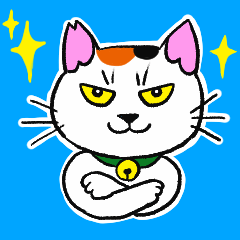 猫相の悪いネコ