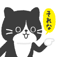 ハチワレ猫こてつ