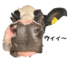 うしうしスタンプ