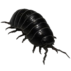 ダンゴムシのスタンプができました。