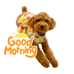 カトりんの日常⑤