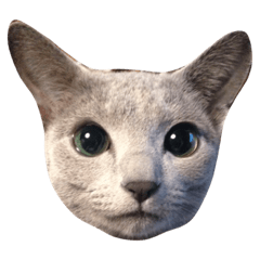 猫のアレックスとペルル