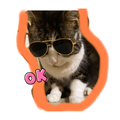 コタコジニャン