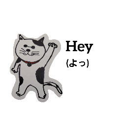 やさぐれマヤ～(やんちゃ猫)