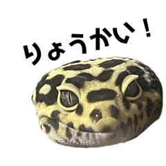 うちのロンちゃんが可愛すぎる vol.1