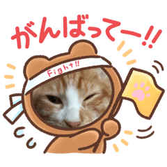 モカくんの日常スタンプ