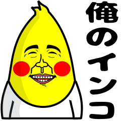 俺のオカメインコ