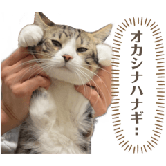 もなかのもふもふすたんぷ3